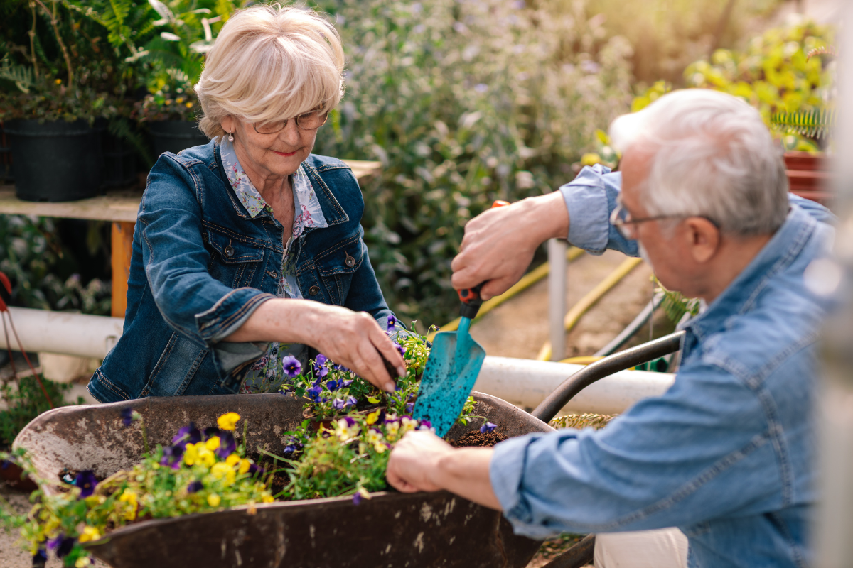 How To Avoid Back Pain When Gardening
